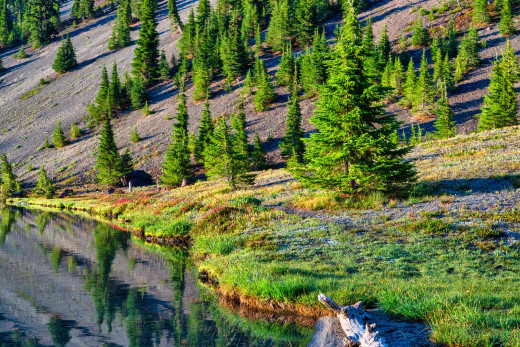 1733471 (a): :2560x1706
